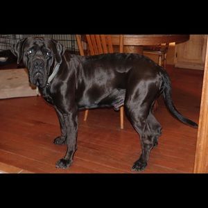 Meet your Posher, Matthew